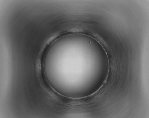 X0000111670727200907241211