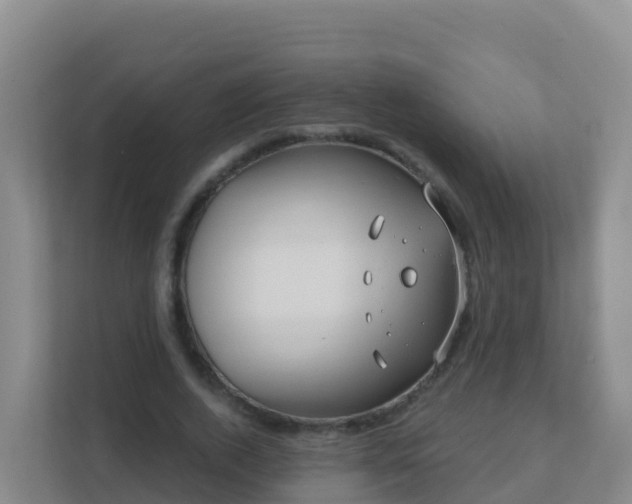 X0000111670728200907241211