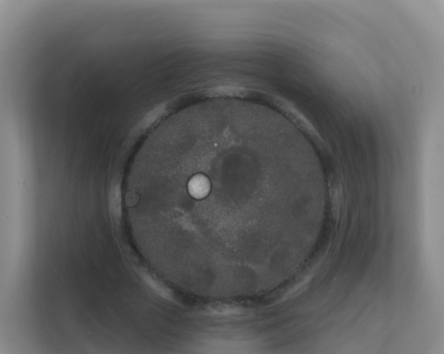 X0000111670729200907241211