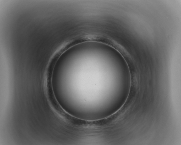 X0000111670730200907241211