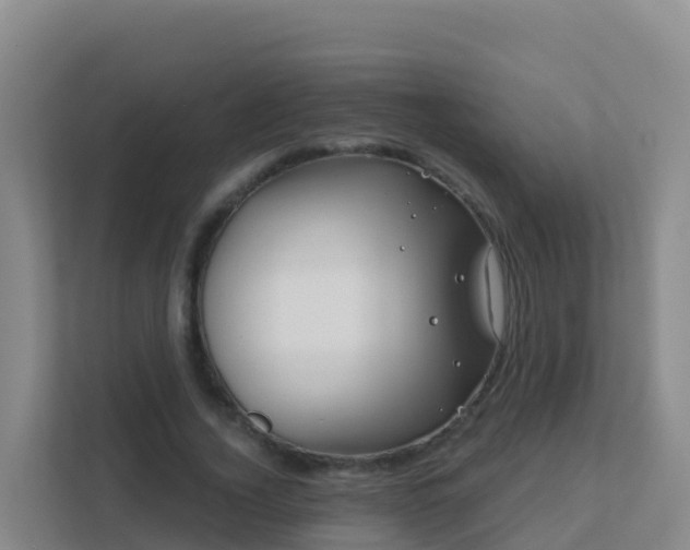 X0000111670732200907241212