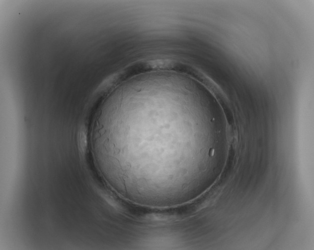 X0000111670733200907241212