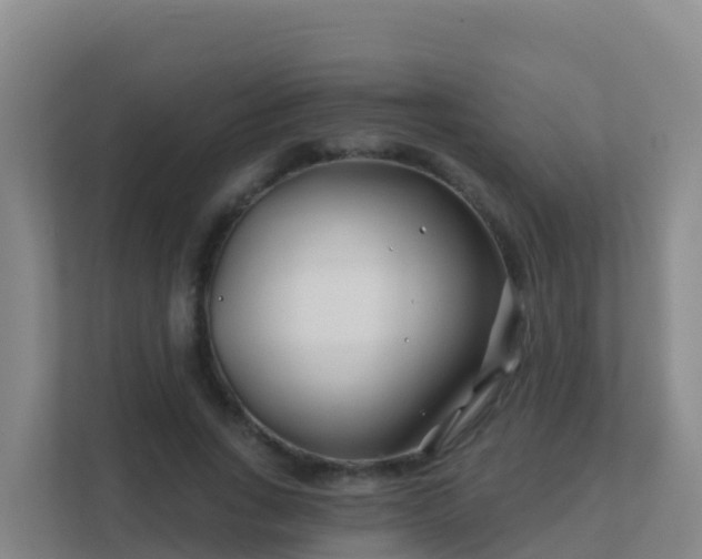 X0000111670735200907241212