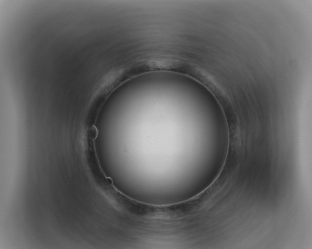 X0000111670738200907241212