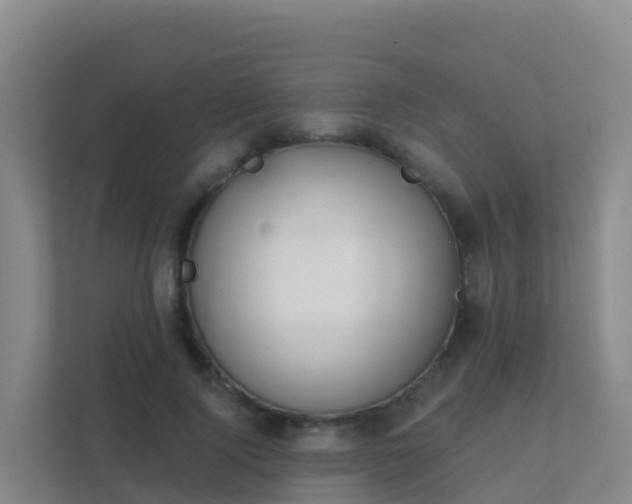 X0000111670740200907241212