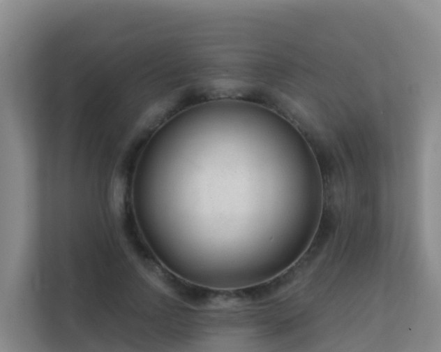 X0000111670742200907241212