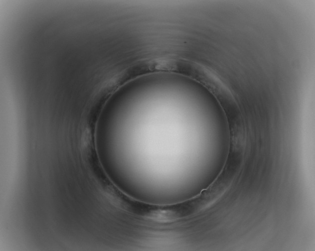 X0000111670748200907241212