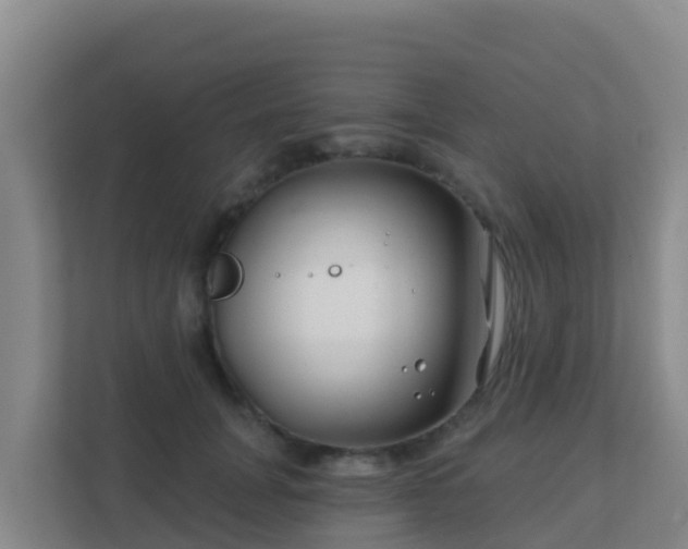 X0000111670751200907241212