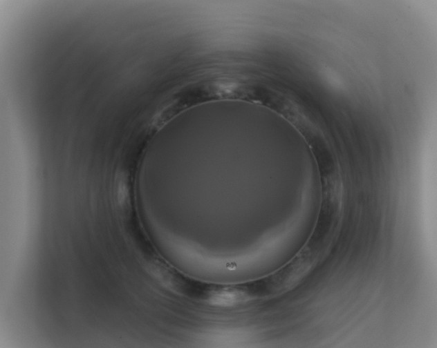 X0000111670754200907241212