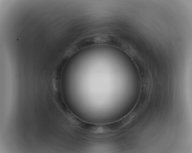 X0000111670755200907241212