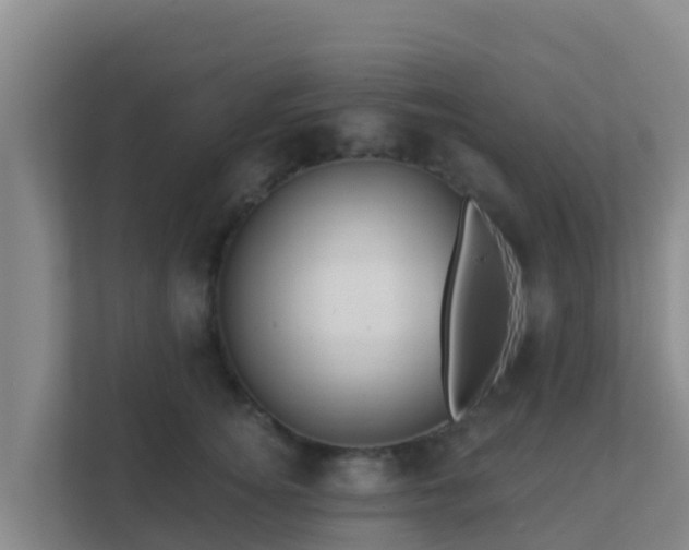 X0000111670756200907241212