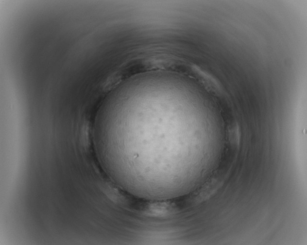 X0000111670757200907241212