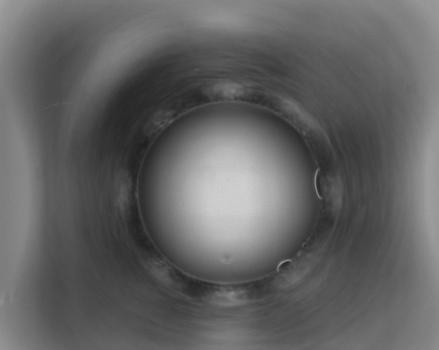 X0000111670760200907241212