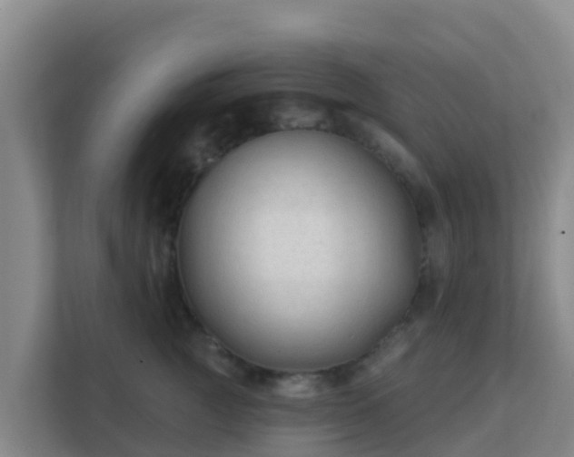 X0000111670761200907241212