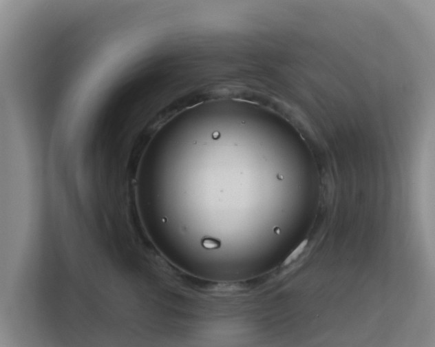 X0000111670762200907241212