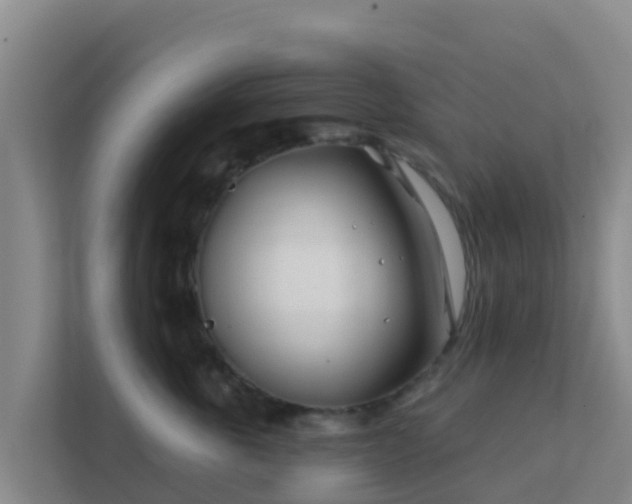 X0000111670763200907241212