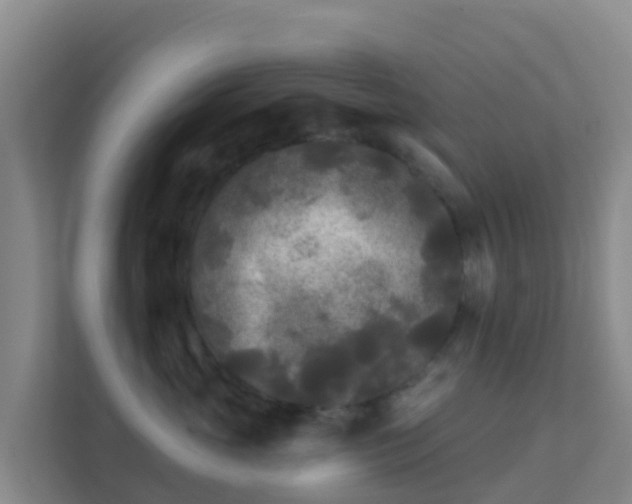 X0000111670765200907241212