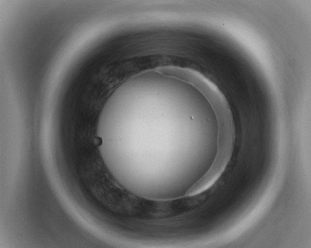 X0000111670766200907241212