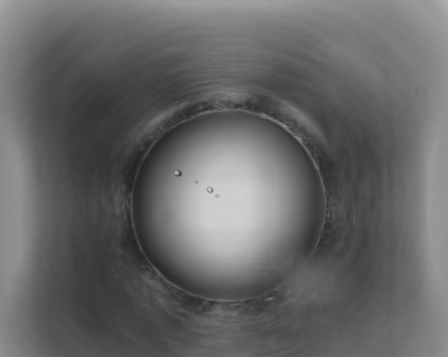 X0000111670773200907241211