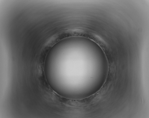 X0000111670774200907241211