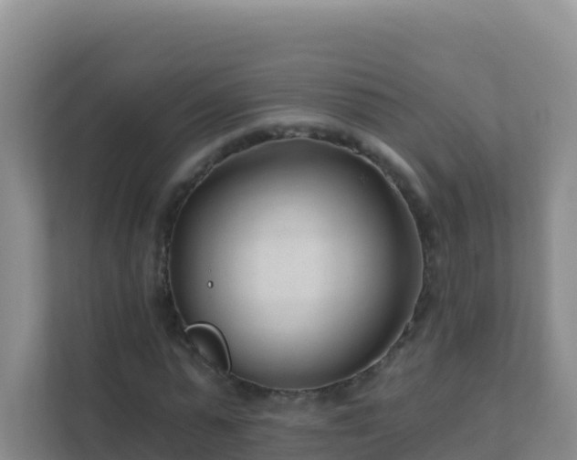 X0000111670775200907241211