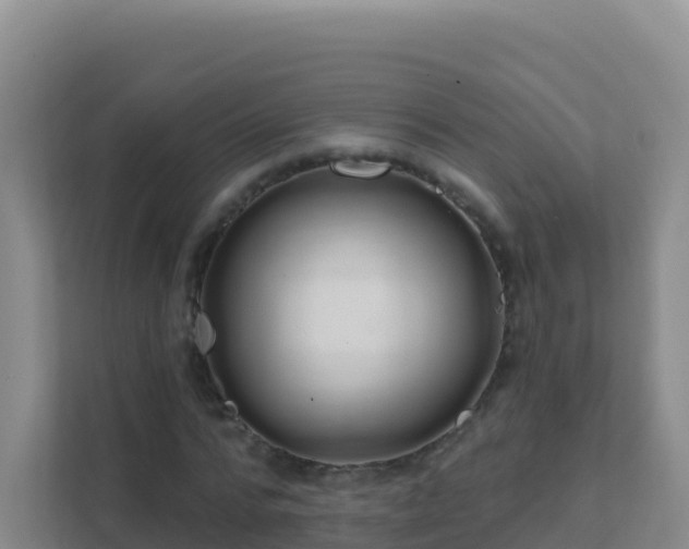 X0000111670776200907241211