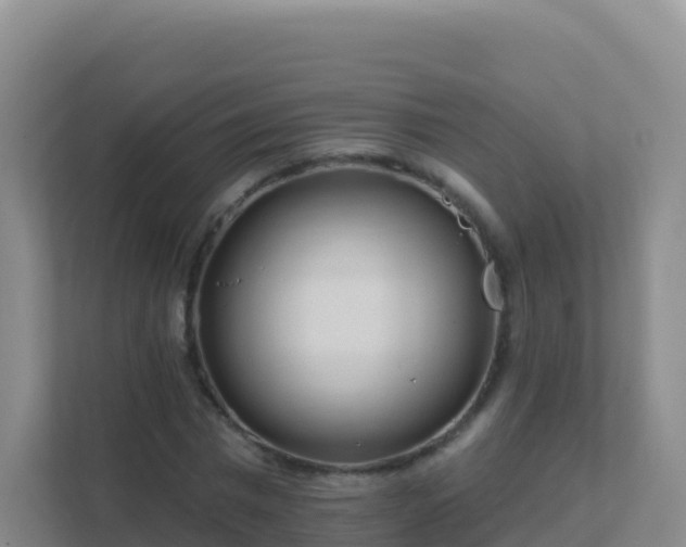 X0000111670777200907241211