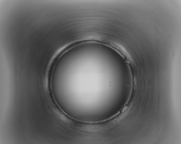 X0000111670780200907241211