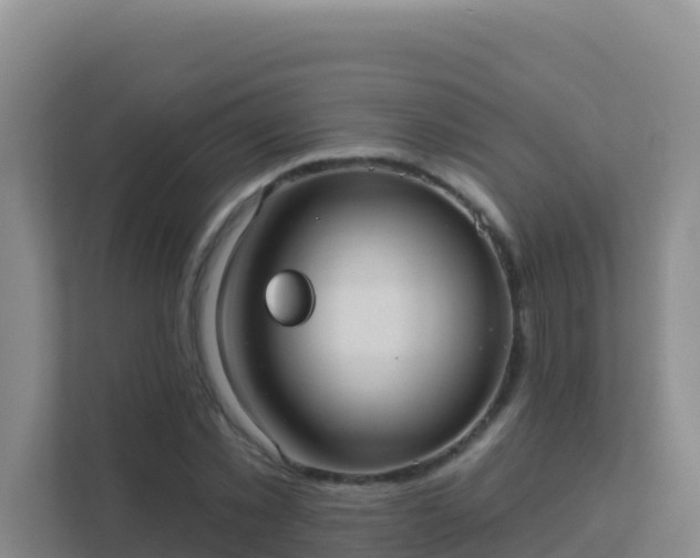 X0000111670781200907241211