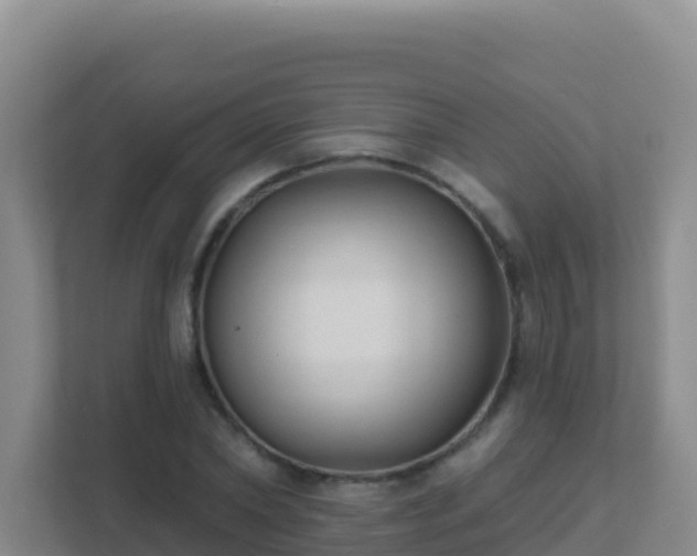 X0000111670782200907241211