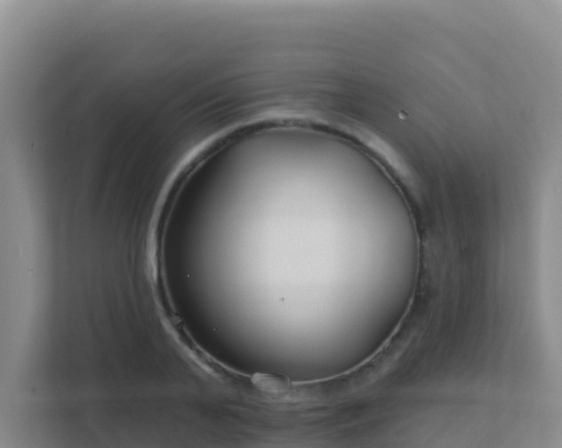 X0000111670791200907241211