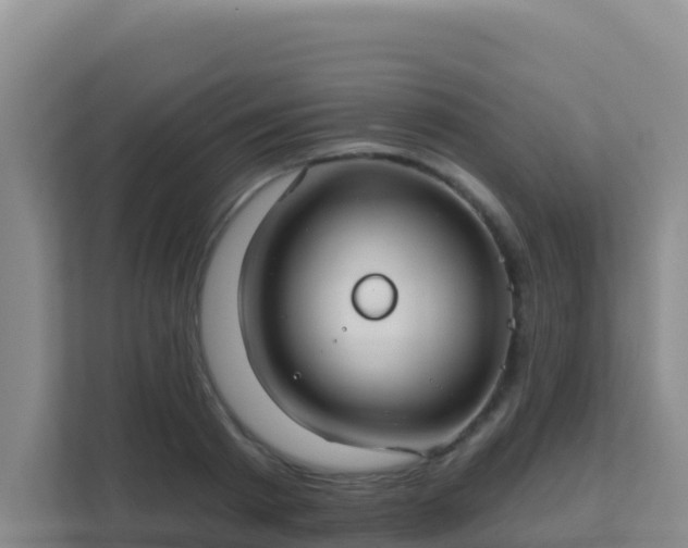 X0000111670793200907241211