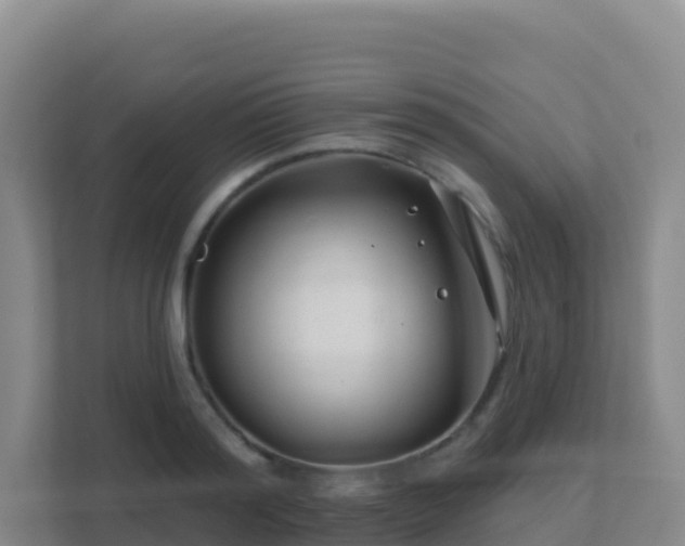 X0000111670796200907241211