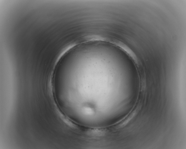 X0000111670806200907241211