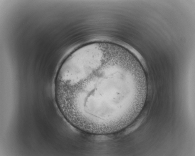 X0000111670807200907241211