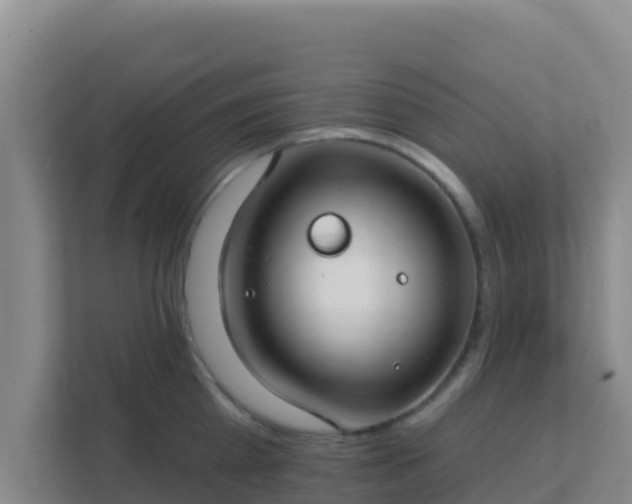 X0000111670809200907241211