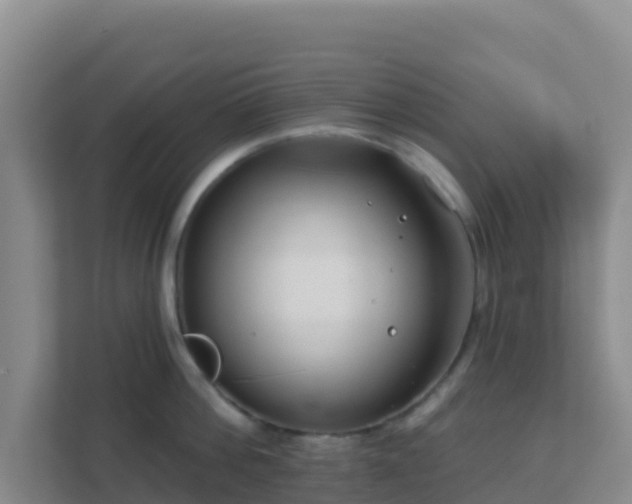 X0000111670812200907241211