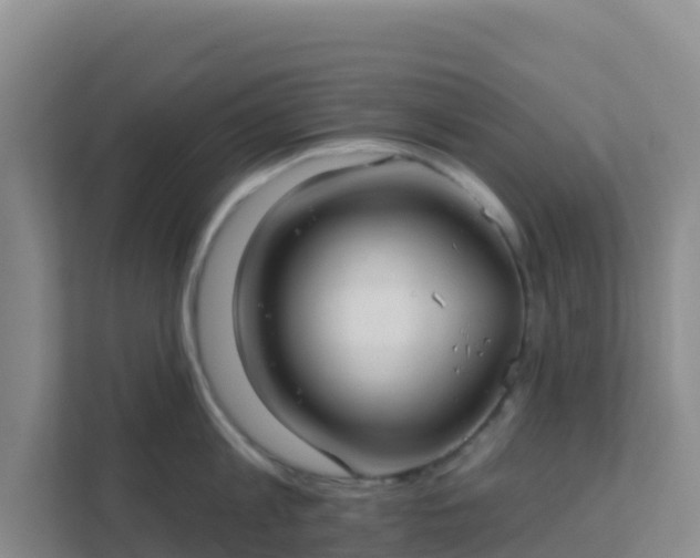 X0000111670813200907241211