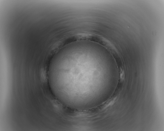 X0000111670819200907241210