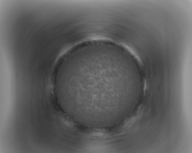 X0000111670823200907241210