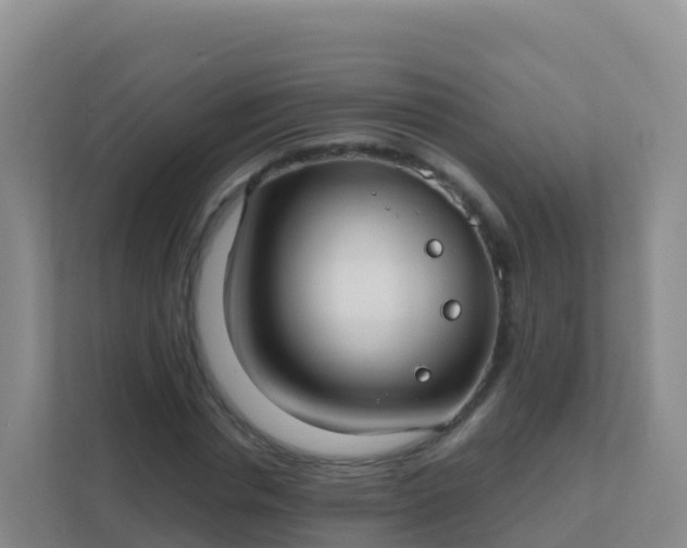 X0000111670826200907241210