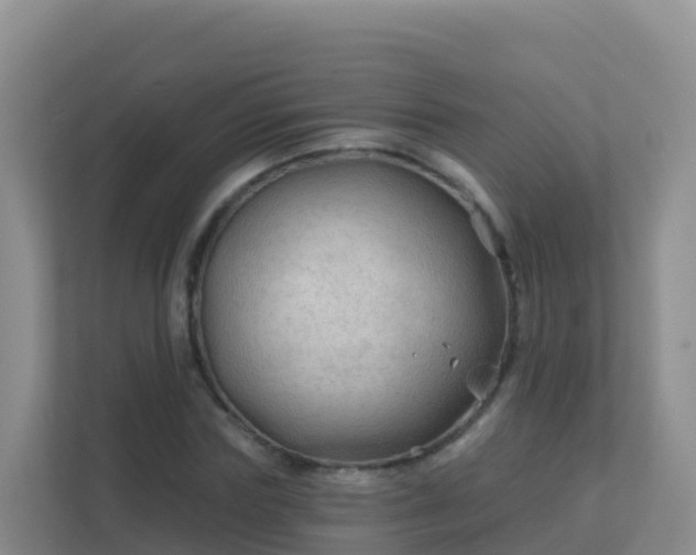 X0000111670827200907241210