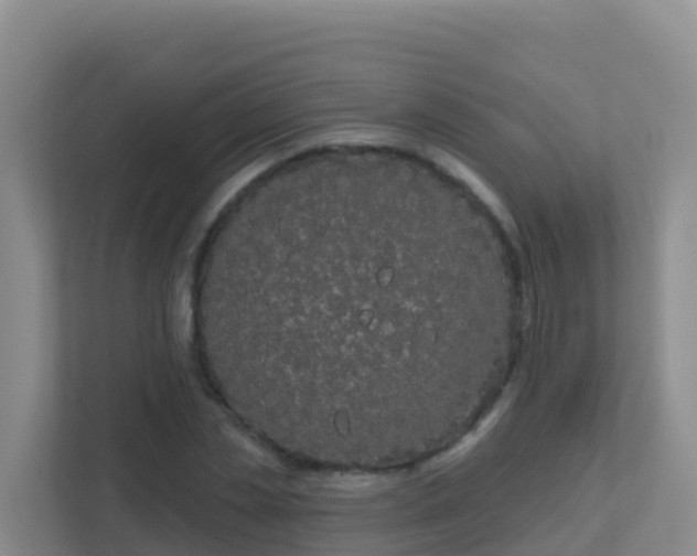 X0000111670829200907241210