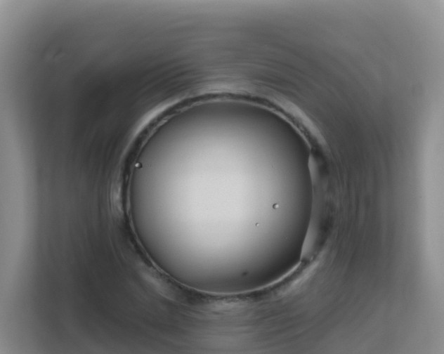 X0000111670830200907241210