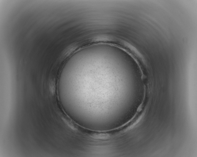 X0000111670833200907241210