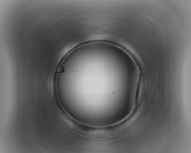 X0000111670834200907241210