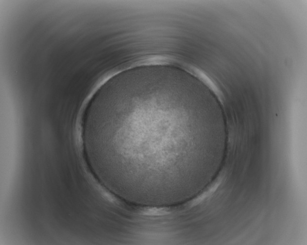 X0000111670835200907241210