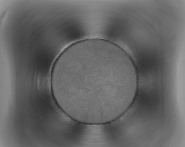 X0000111670836200907241210