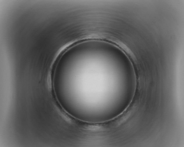 X0000111670838200907241210