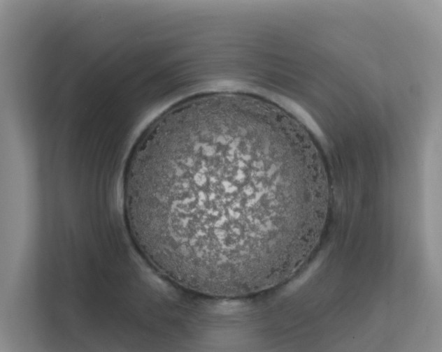 X0000111670839200907241210